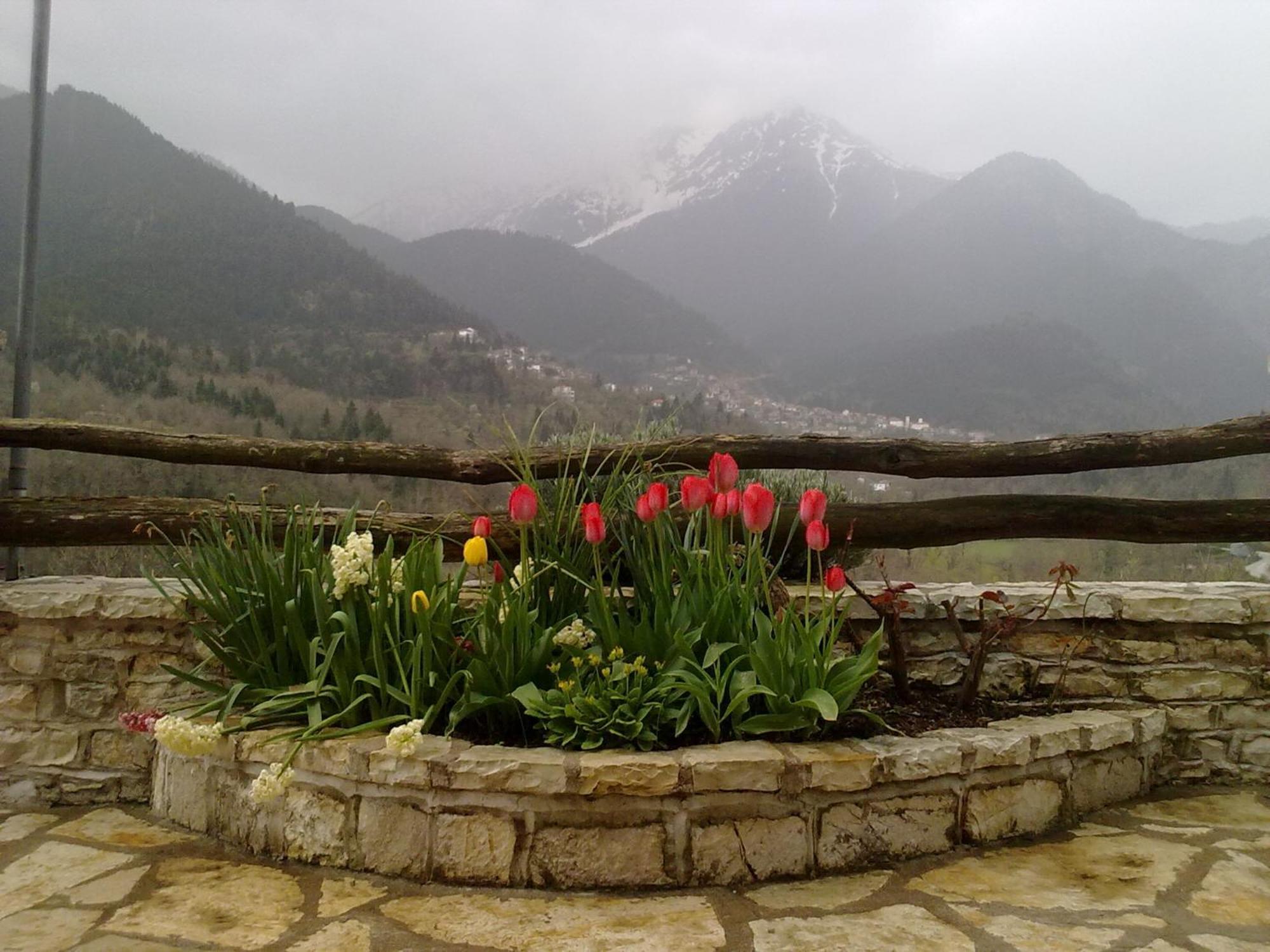 Rizoma Guesthouse Mikrón Khoríon Esterno foto